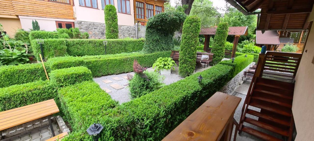 Hotel Casa Edy Sovata Exteriér fotografie